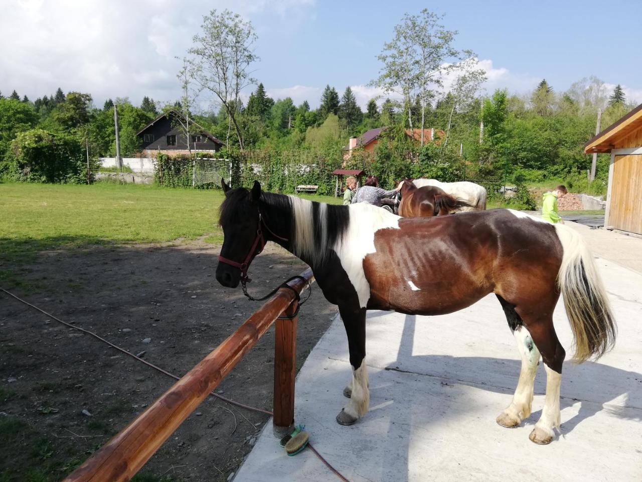 Pensiunea Ghiocelul Avrig Esterno foto