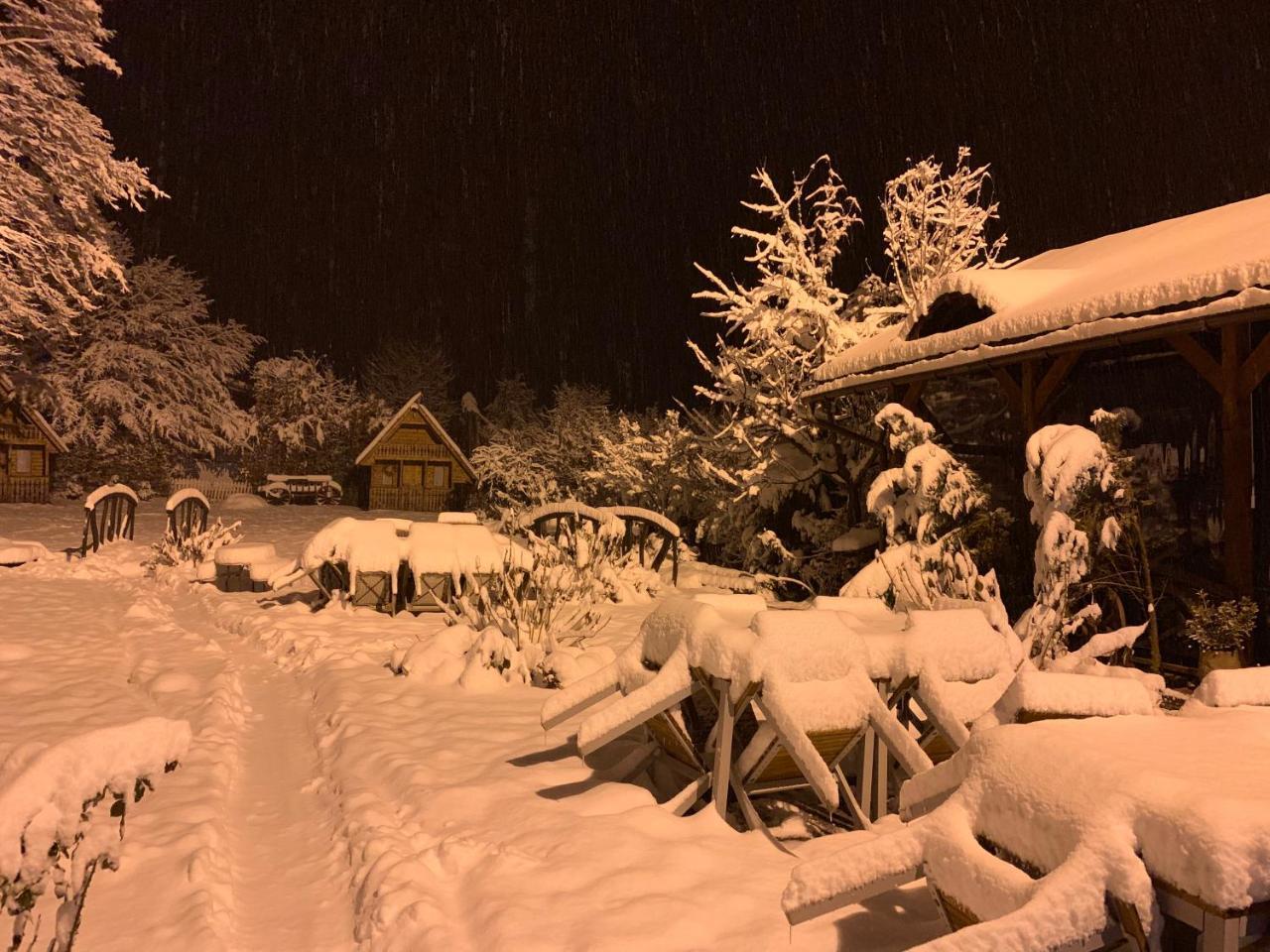 Pensiunea Ghiocelul Avrig Esterno foto