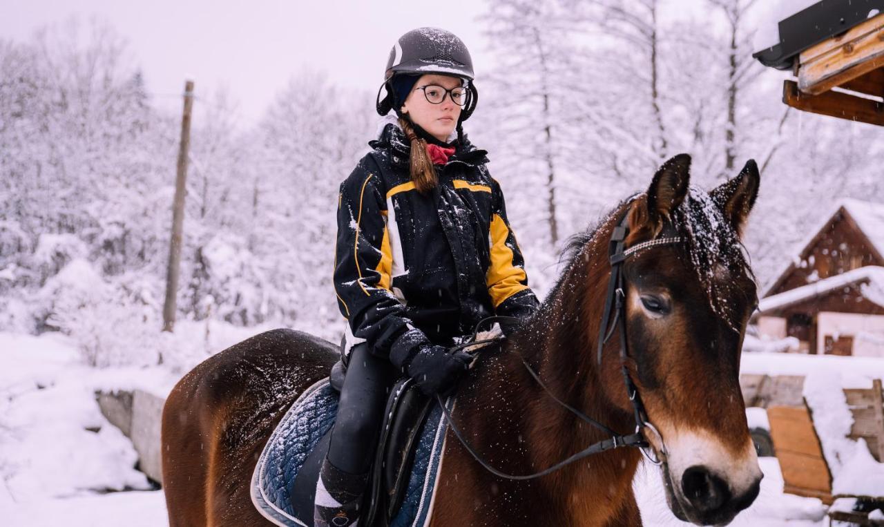 Pensiunea Ghiocelul Avrig Esterno foto