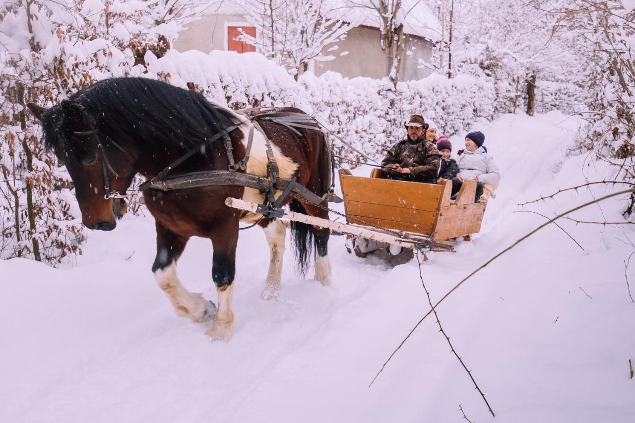 Pensiunea Ghiocelul Avrig Esterno foto